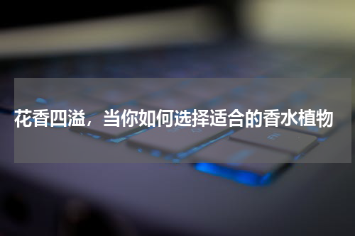  花香四溢，当你如何选择适合的香水植物