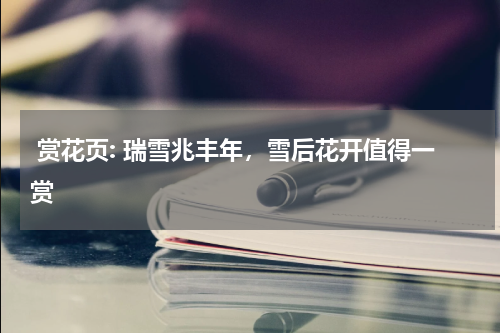  赏花页: 瑞雪兆丰年，雪后花开值得一赏