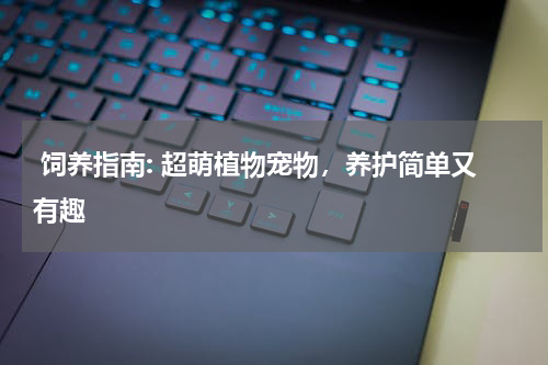  饲养指南: 超萌植物宠物，养护简单又有趣