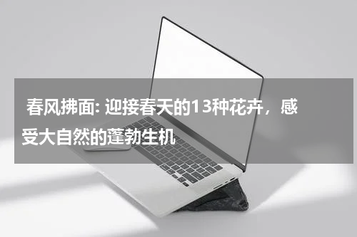  春风拂面: 迎接春天的13种花卉，感受大自然的蓬勃生机