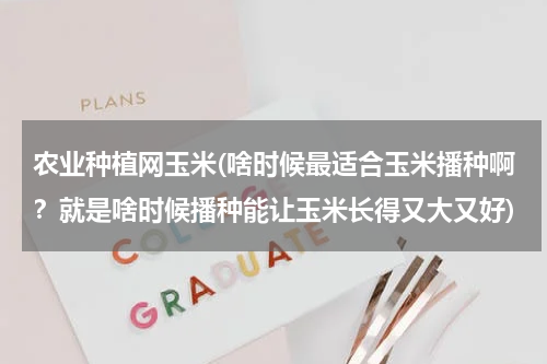 农业种植网玉米(啥时候最适合玉米播种啊？就是啥时候播种能让玉米长得又大又好)