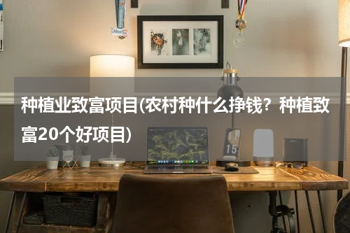 种植业致富项目(农村种什么挣钱？种植致富20个好项目)