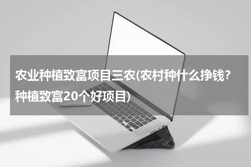 农业种植致富项目三农(农村种什么挣钱？种植致富20个好项目)