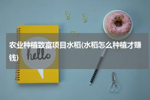 农业种植致富项目水稻(水稻怎么种植才赚钱)