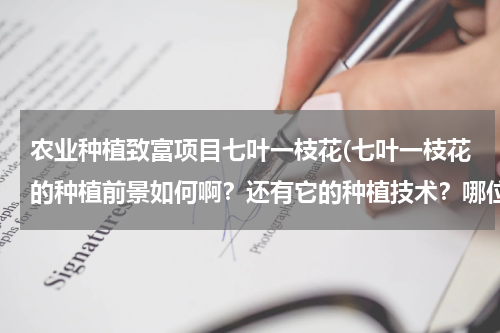 农业种植致富项目七叶一枝花(七叶一枝花的种植前景如何啊？还有它的种植技术？哪位高人给我指点下…谢谢了！)
