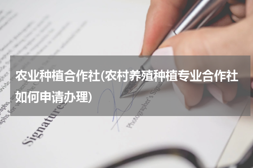 农业种植合作社(农村养殖种植专业合作社如何申请办理)
