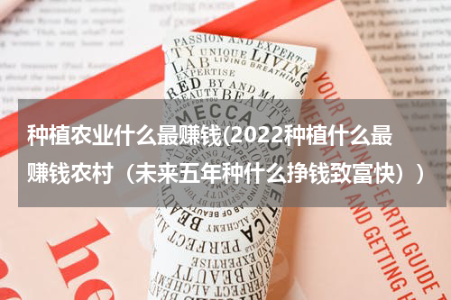 种植农业什么最赚钱(2022种植什么最赚钱农村（未来五年种什么挣钱致富快）)