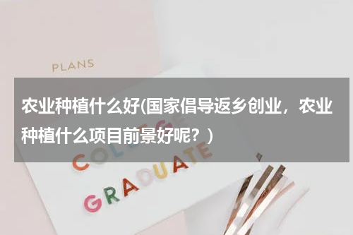 农业种植什么好(国家倡导返乡创业，农业种植什么项目前景好呢？)