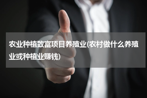 农业种植致富项目养殖业(农村做什么养殖业或种植业赚钱)