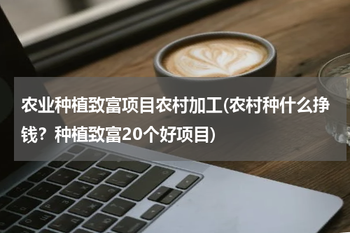 农业种植致富项目农村加工(农村种什么挣钱？种植致富20个好项目)
