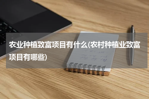 农业种植致富项目有什么(农村种植业致富项目有哪些)