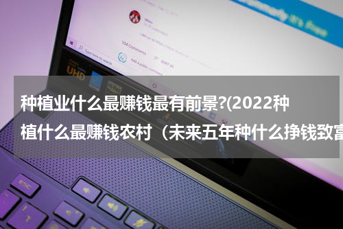 种植业什么最赚钱最有前景?(2022种植什么最赚钱农村（未来五年种什么挣钱致富快）)