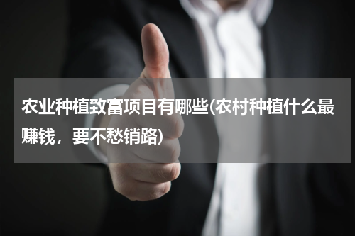 农业种植致富项目有哪些(农村种植什么最赚钱，要不愁销路)