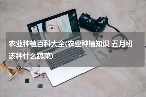 农业种植百科大全(农业种植知识 五月初该种什么蔬菜)