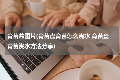 育苗盆图片(育苗盘育苗怎么浇水 育苗盘育苗浇水方法分享)