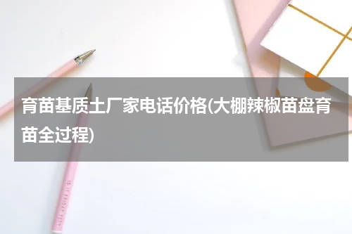 育苗基质土厂家电话价格(大棚辣椒苗盘育苗全过程)