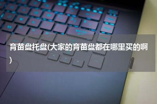 育苗盘托盘(大家的育苗盘都在哪里买的啊)