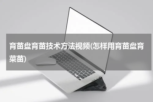 育苗盘育苗技术方法视频(怎样用育苗盘育菜苗)