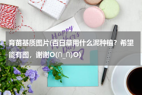 育苗基质图片(百日草用什么泥种植？希望能有图，谢谢O(∩_∩)O)