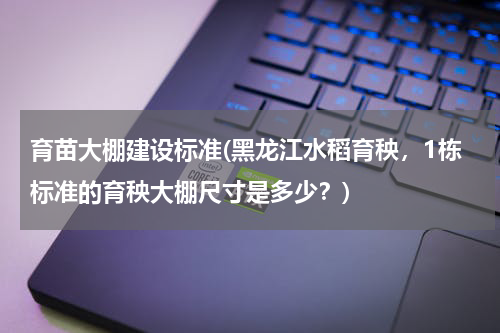 育苗大棚建设标准(黑龙江水稻育秧，1栋标准的育秧大棚尺寸是多少？)