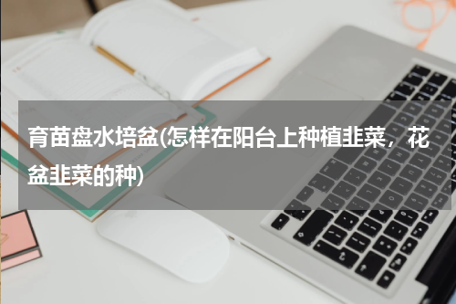 育苗盘水培盆(怎样在阳台上种植韭菜，花盆韭菜的种)