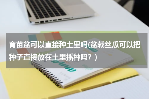 育苗盆可以直接种土里吗(盆栽丝瓜可以把种子直接放在土里播种吗？)