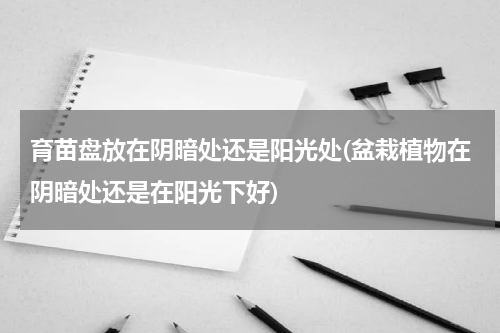 育苗盘放在阴暗处还是阳光处(盆栽植物在阴暗处还是在阳光下好)
