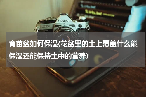 育苗盆如何保湿(花盆里的土上覆盖什么能保湿还能保持土中的营养)