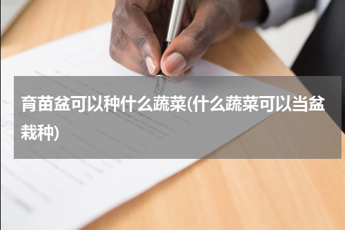 育苗盆可以种什么蔬菜(什么蔬菜可以当盆栽种)