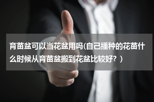 育苗盆可以当花盆用吗(自己播种的花苗什么时候从育苗盆搬到花盆比较好？)