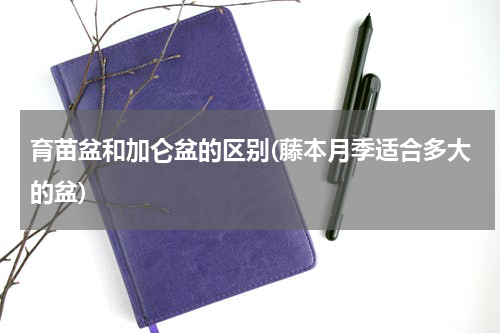 育苗盆和加仑盆的区别(藤本月季适合多大的盆)