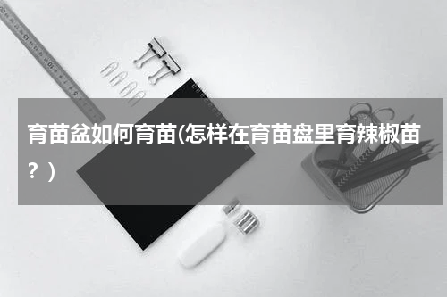 育苗盆如何育苗(怎样在育苗盘里育辣椒苗？)