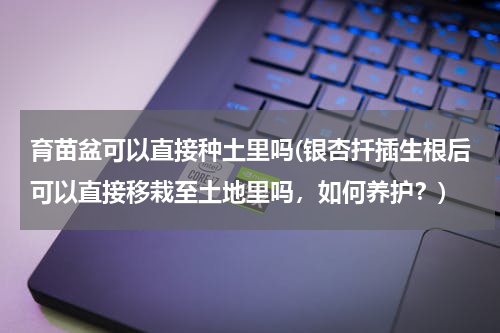 育苗盆可以直接种土里吗(银杏扦插生根后可以直接移栽至土地里吗，如何养护？)