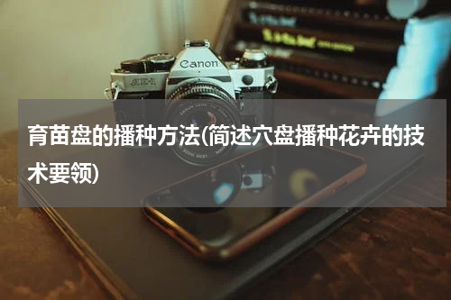 育苗盘的播种方法(简述穴盘播种花卉的技术要领)