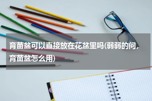 育苗盆可以直接放在花盆里吗(弱弱的问，育苗盆怎么用)