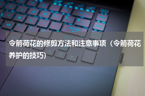 令箭荷花的修剪方法和注意事项（令箭荷花养护的技巧）