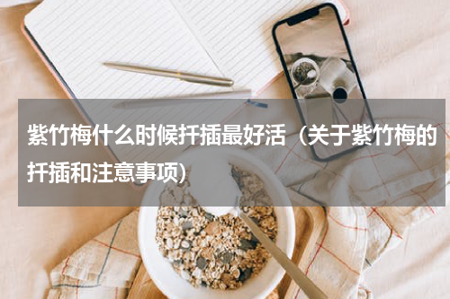 紫竹梅什么时候扦插最好活（关于紫竹梅的扦插和注意事项）