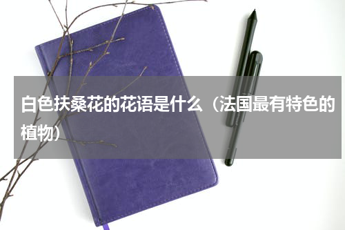 白色扶桑花的花语是什么（法国最有特色的植物）