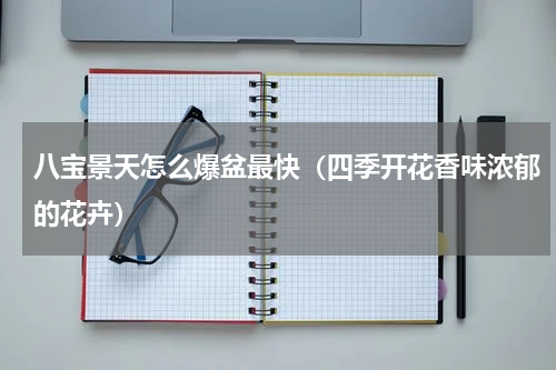 八宝景天怎么爆盆最快（四季开花香味浓郁的花卉）