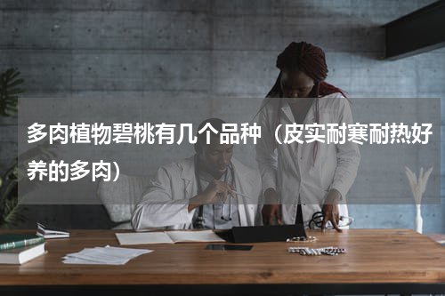 多肉植物碧桃有几个品种（皮实耐寒耐热好养的多肉）