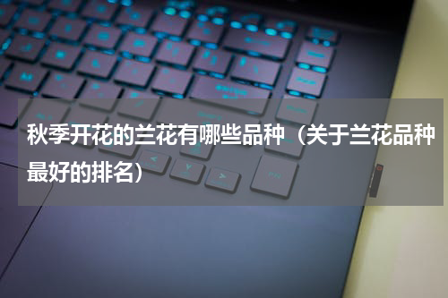 秋季开花的兰花有哪些品种（关于兰花品种最好的排名）