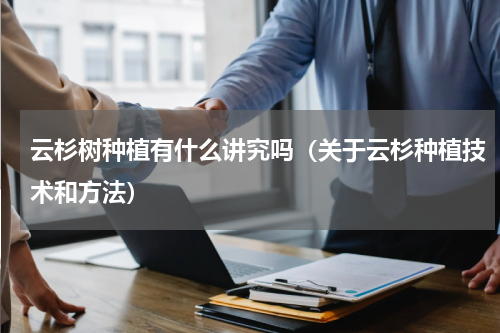 云杉树种植有什么讲究吗（关于云杉种植技术和方法）