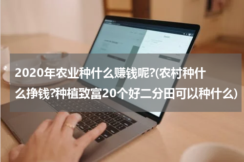 2020年农业种什么赚钱呢?(农村种什么挣钱?种植致富20个好二分田可以种什么)
