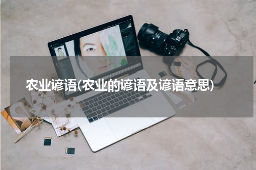 农业谚语(农业的谚语及谚语意思)