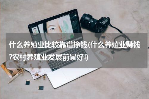 什么养殖业比较靠谱挣钱(什么养殖业赚钱?农村养殖业发展前景好!)