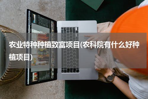 农业特种种植致富项目(农科院有什么好种植项目)