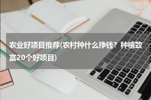 农业好项目推荐(农村种什么挣钱？种植致富20个好项目)