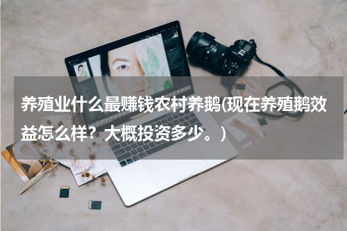 养殖业什么最赚钱农村养鹅(现在养殖鹅效益怎么样？大概投资多少。)
