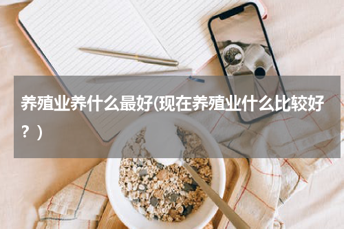 养殖业养什么最好(现在养殖业什么比较好？)