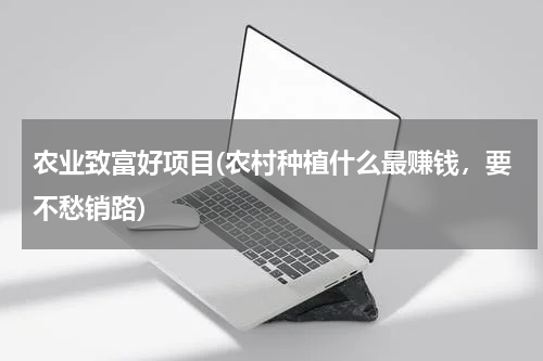 农业致富好项目(农村种植什么最赚钱，要不愁销路)
